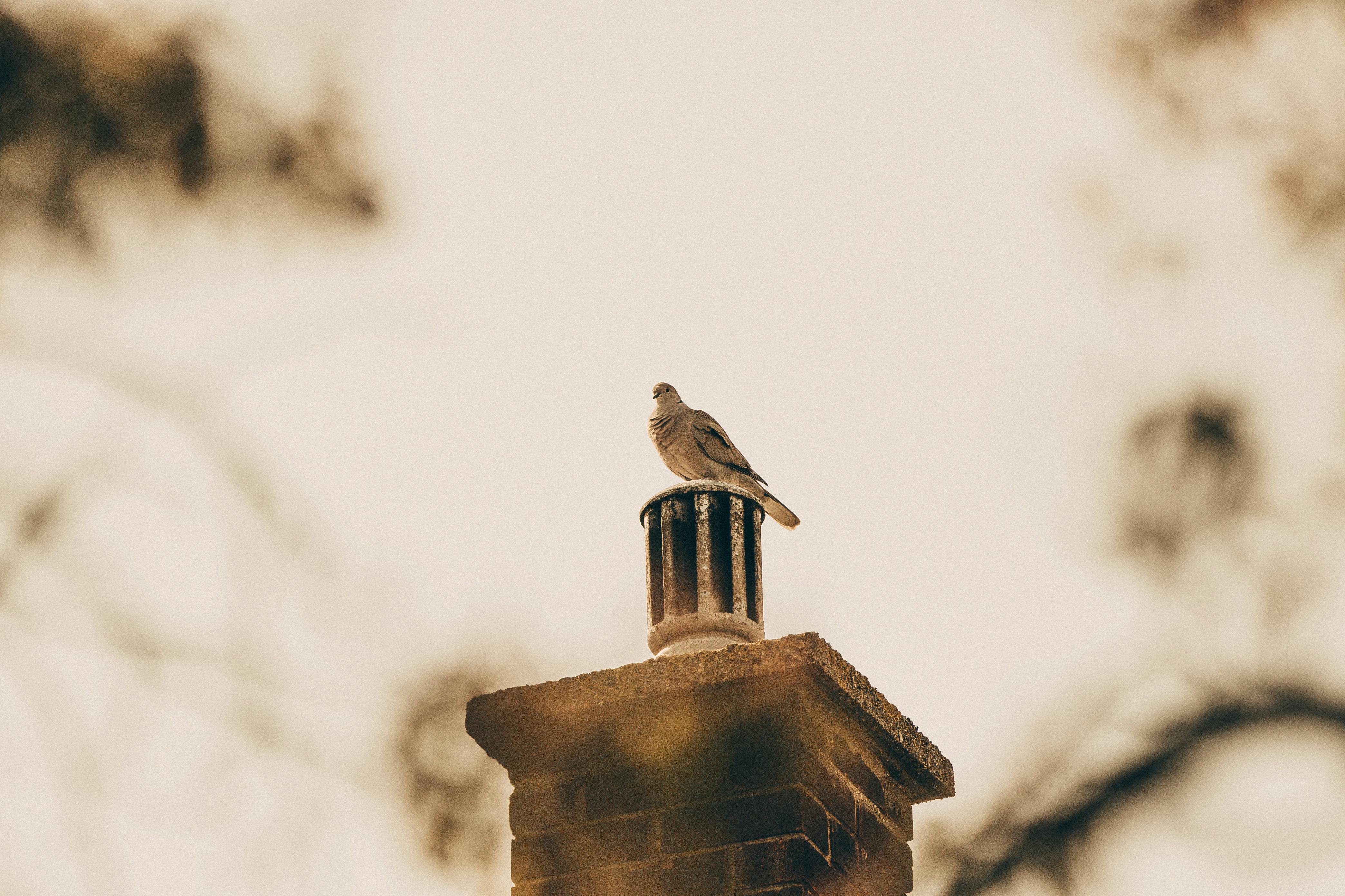 Expert Chimney Cap Installation in Villa Park, California
